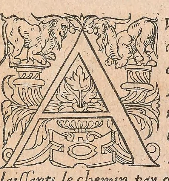 An illustration from Les obseruations de plusieurs singularitez et choses memorables : trouuées en Grece, Asie, Judée, Egypte, Arabie ... en trois livres, 1554, leaf 281