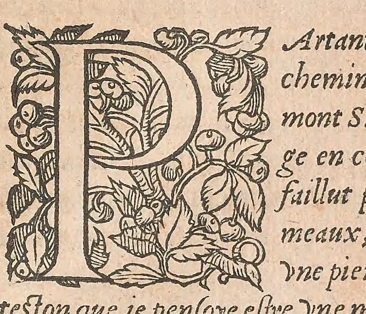 An illustration from Les obseruations de plusieurs singularitez et choses memorables : trouuées en Grece, Asie, Judée, Egypte, Arabie ... en trois livres, 1554, leaf 287