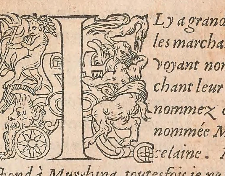 An illustration from Les obseruations de plusieurs singularitez et choses memorables : trouuées en Grece, Asie, Judée, Egypte, Arabie ... en trois livres, 1554, leaf 291