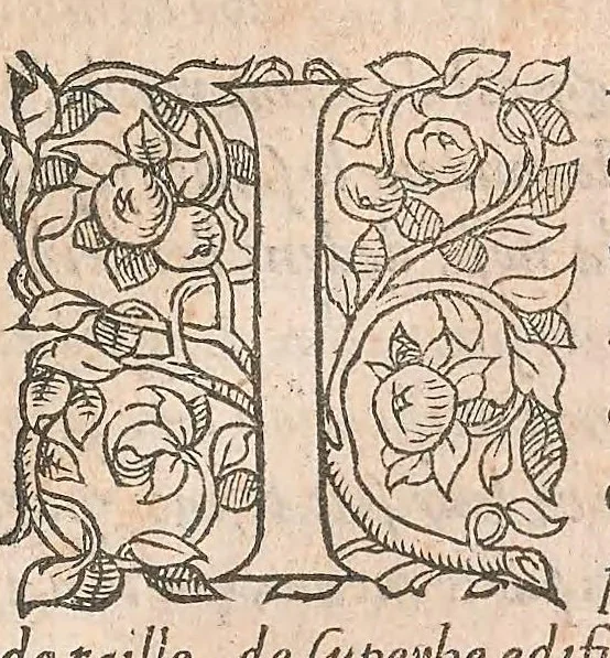 An illustration from Les obseruations de plusieurs singularitez et choses memorables : trouuées en Grece, Asie, Judée, Egypte, Arabie ... en trois livres, 1554, leaf 309