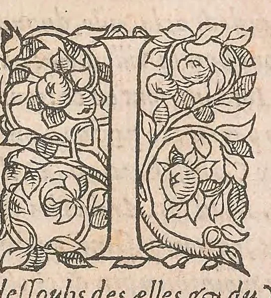 An illustration from Les obseruations de plusieurs singularitez et choses memorables : trouuées en Grece, Asie, Judée, Egypte, Arabie ... en trois livres, 1554, leaf 327