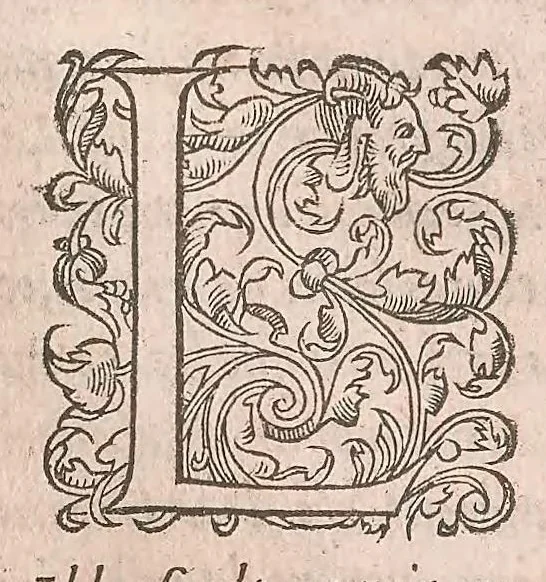 An illustration from Les obseruations de plusieurs singularitez et choses memorables : trouuées en Grece, Asie, Judée, Egypte, Arabie ... en trois livres, 1554, leaf 352