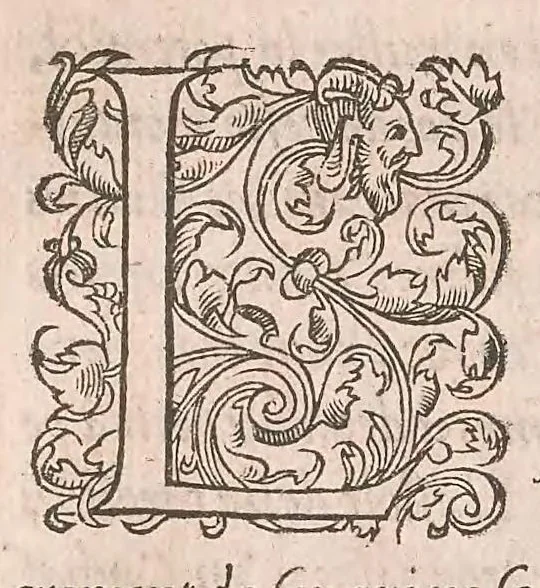 An illustration from Les obseruations de plusieurs singularitez et choses memorables : trouuées en Grece, Asie, Judée, Egypte, Arabie ... en trois livres, 1554, leaf 356