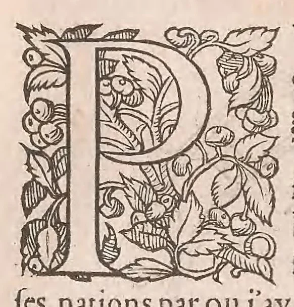 An illustration from Les obseruations de plusieurs singularitez et choses memorables : trouuées en Grece, Asie, Judée, Egypte, Arabie ... en trois livres, 1554, leaf 364