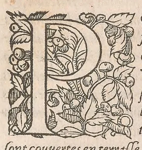 An illustration from Les obseruations de plusieurs singularitez et choses memorables : trouuées en Grece, Asie, Judée, Egypte, Arabie ... en trois livres, 1554, leaf 391