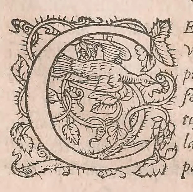 An illustration from Les obseruations de plusieurs singularitez et choses memorables : trouuées en Grece, Asie, Judée, Egypte, Arabie ... en trois livres, 1554, leaf 398