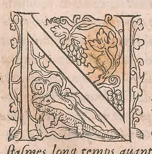 An illustration from Les obseruations de plusieurs singularitez et choses memorables : trouuées en Grece, Asie, Judée, Egypte, Arabie ... en trois livres, 1554, leaf 430