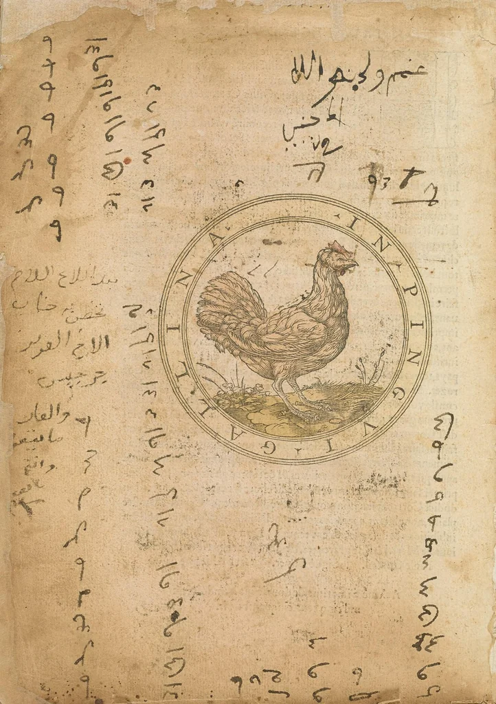An illustration from Les obseruations de plusieurs singularitez et choses memorables : trouuées en Grece, Asie, Judée, Egypte, Arabie ... en trois livres, 1554, leaf 448