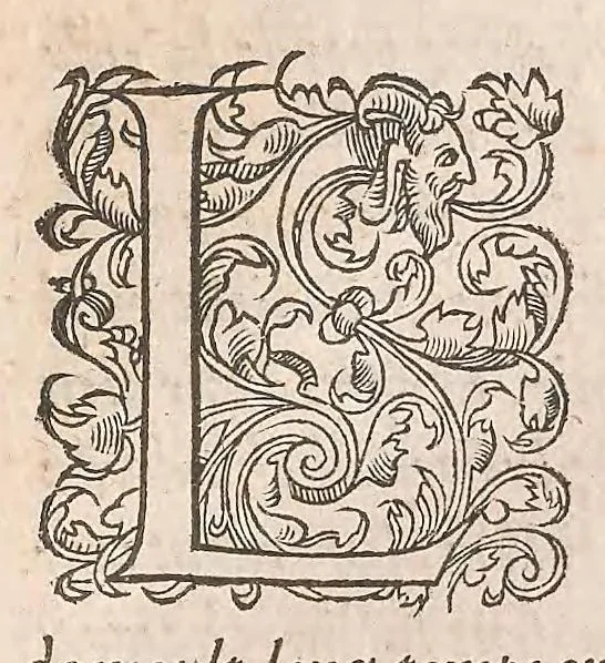 An illustration from Les obseruations de plusieurs singularitez et choses memorables : trouuées en Grece, Asie, Judée, Egypte, Arabie ... en trois livres, 1554, leaf 69