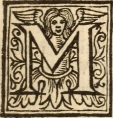 An illustration from Relations and observations, historical and politick, upon the Parliament begun anno Dom. 1640 : divided into II. books 1. The mystery of the two juntoes, Presbyterian and Independent. 2. The history of Independency, &c. Together with an appendix, touching the proceedings of the Independent faction in Scotland, 1648, leaf 214