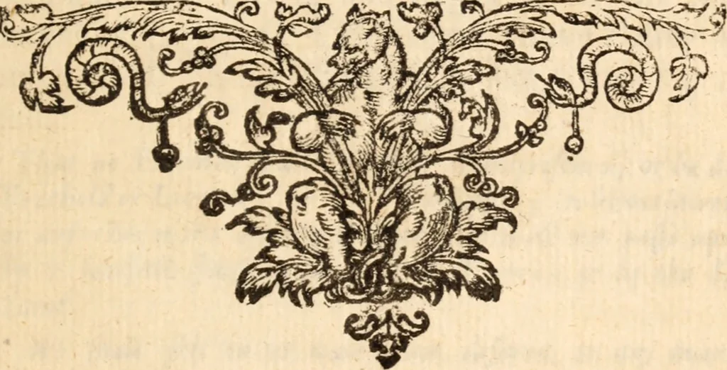 An illustration from Relations and observations, historical and politick, upon the Parliament begun anno Dom. 1640 : divided into II. books 1. The mystery of the two juntoes, Presbyterian and Independent. 2. The history of Independency, &c. Together with an appendix, touching the proceedings of the Independent faction in Scotland, 1648, leaf 538