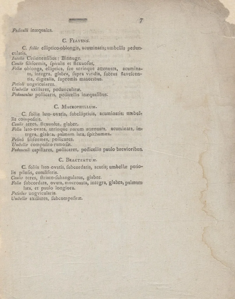 An illustration from Observationes in Cynanchum : quas venia exp. Fac. Med. Upsal. præside C.P. Thunberg ..., 1821, leaf 11