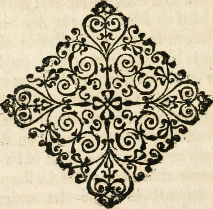 An illustration from Observations chirvrgiqves, 1669, leaf 195