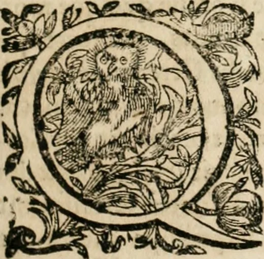 An illustration from Observations chirvrgiqves, 1669, leaf 196