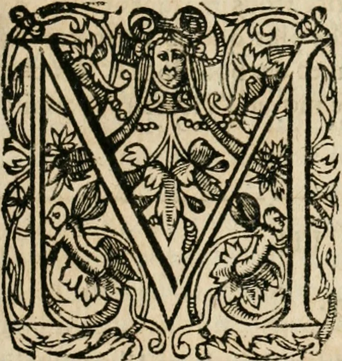 An illustration from Observations chirvrgiqves, 1669, leaf 280