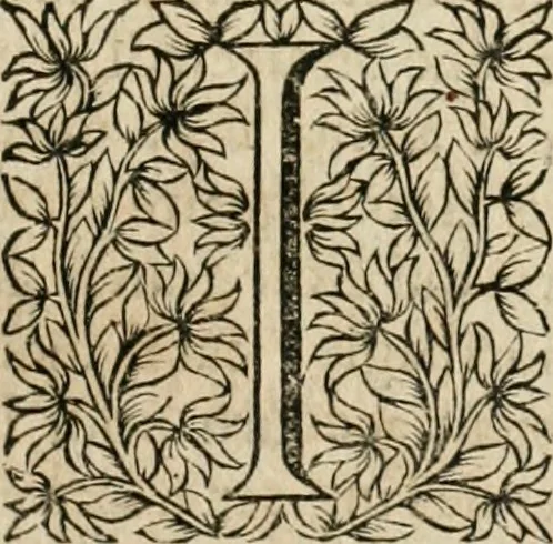 An illustration from Observations chirvrgiqves, 1669, leaf 400
