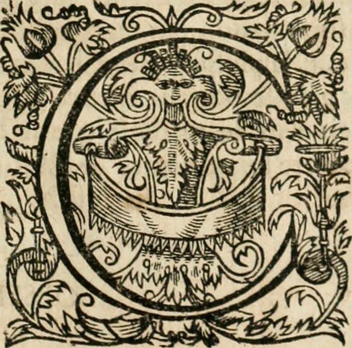 An illustration from Observations chirvrgiqves, 1669, leaf 582