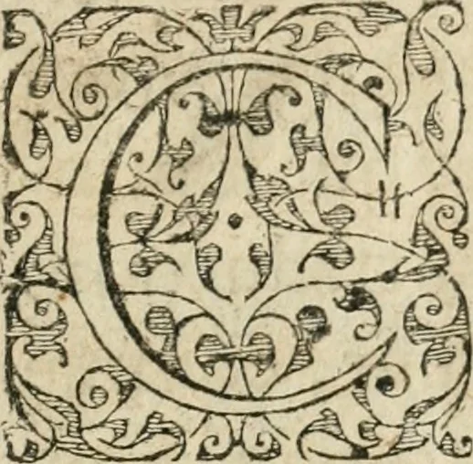 An illustration from Observations chirvrgiqves, 1669, leaf 6
