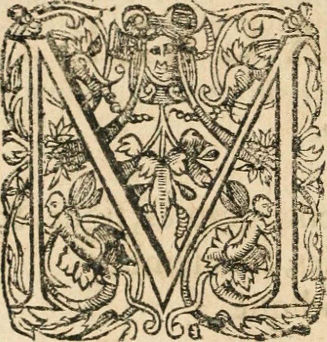 An illustration from Observations chirvrgiqves, 1669, leaf 623