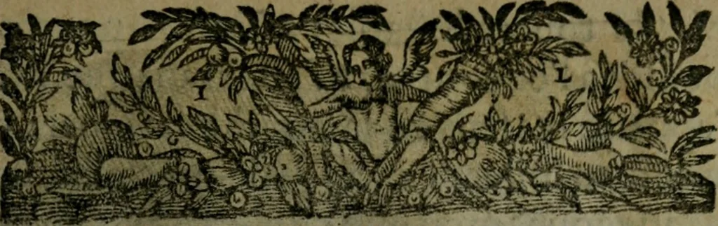 An illustration from Observations diverses, sur la sterilité, perte de fruict, foecondité, accouchements, et maladies des femmes, et enfants nouveaux naiz, 1617, leaf 12