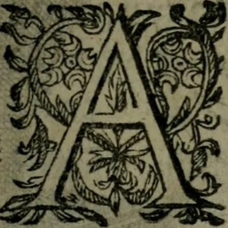 An illustration from Observations diverses, sur la sterilité, perte de fruict, foecondité, accouchements, et maladies des femmes, et enfants nouveaux naiz, 1617, leaf 12
