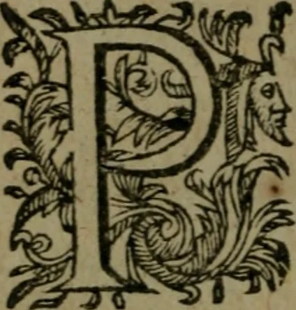 An illustration from Observations diverses, sur la sterilité, perte de fruict, foecondité, accouchements, et maladies des femmes, et enfants nouveaux naiz, 1617, leaf 261