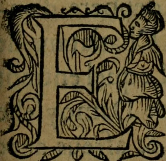 An illustration from Observations diverses, sur la sterilité, perte de fruict, foecondité, accouchements, et maladies des femmes, et enfants nouveaux naiz, 1617, leaf 268