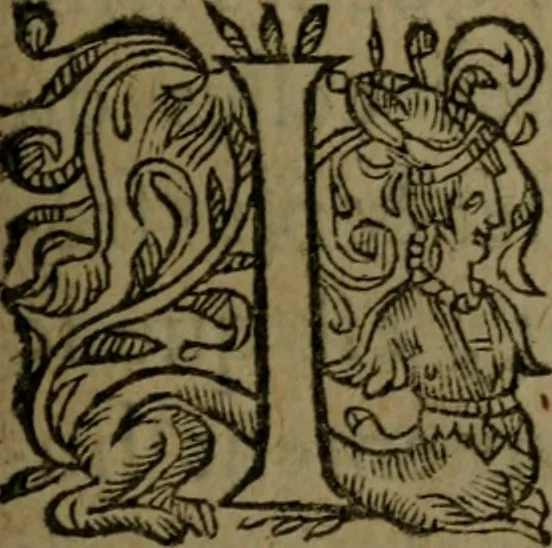 An illustration from Observations diverses, sur la sterilité, perte de fruict, foecondité, accouchements, et maladies des femmes, et enfants nouveaux naiz, 1617, leaf 28