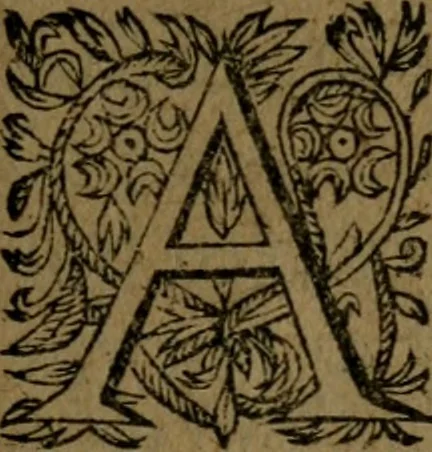 An illustration from Observations diverses, sur la sterilité, perte de fruict, foecondité, accouchements, et maladies des femmes, et enfants nouveaux naiz, 1617, leaf 288