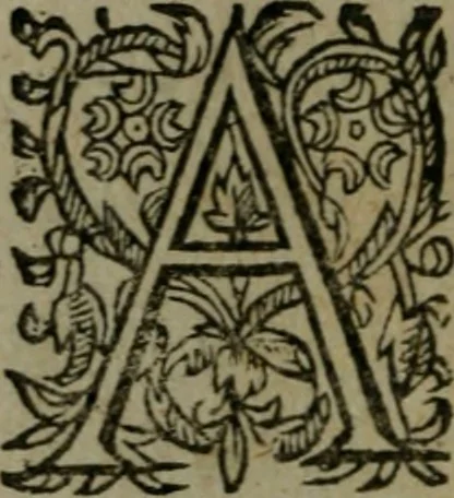 An illustration from Observations diverses, sur la sterilité, perte de fruict, foecondité, accouchements, et maladies des femmes, et enfants nouveaux naiz, 1617, leaf 391