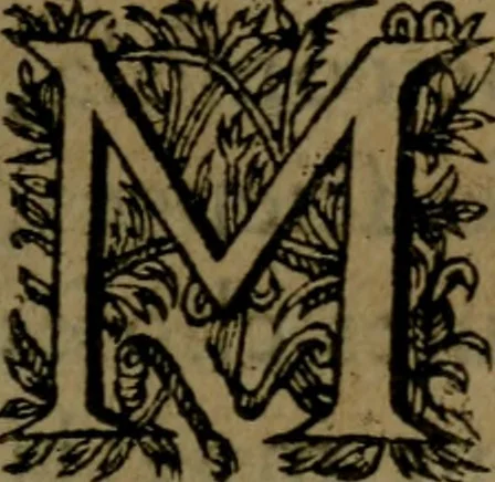 An illustration from Observations diverses, sur la sterilité, perte de fruict, foecondité, accouchements, et maladies des femmes, et enfants nouveaux naiz, 1617, leaf 478