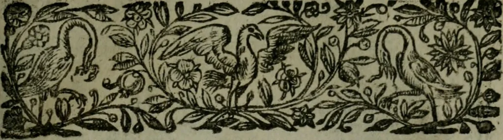 An illustration from Observations diverses, sur la sterilité, perte de fruict, foecondité, accouchements, et maladies des femmes, et enfants nouveaux naiz, 1617, leaf 6