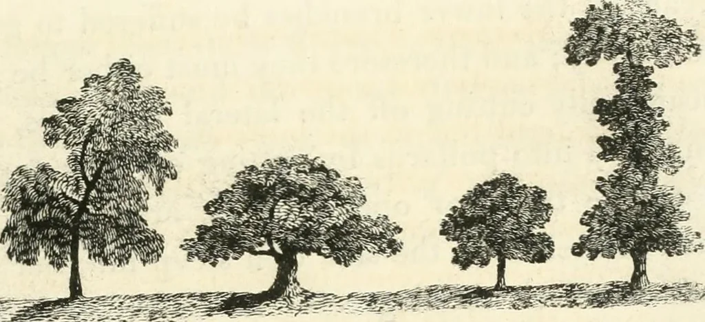 An illustration from Observations on the theory and practice of landscape gardening : including some remarks on Grecian and Gothic architecture, collected from various manuscripts, in the possession of the different noblemen and gentlemen, for whose use they were originally written : the whole tending to establish fixed principles in the respective arts, 1805, leaf 100
