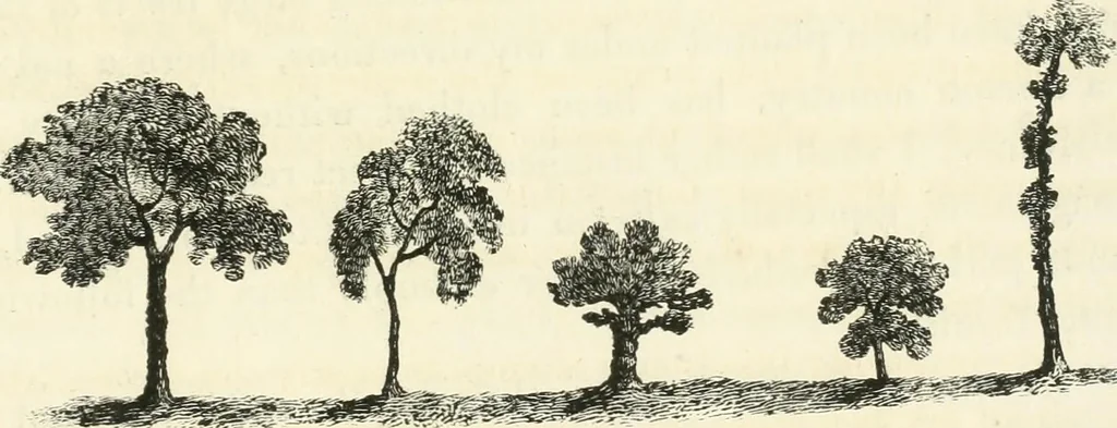 An illustration from Observations on the theory and practice of landscape gardening : including some remarks on Grecian and Gothic architecture, collected from various manuscripts, in the possession of the different noblemen and gentlemen, for whose use they were originally written : the whole tending to establish fixed principles in the respective arts, 1805, leaf 100