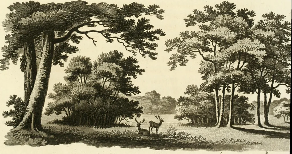 An illustration from Observations on the theory and practice of landscape gardening : including some remarks on Grecian and Gothic architecture, collected from various manuscripts, in the possession of the different noblemen and gentlemen, for whose use they were originally written : the whole tending to establish fixed principles in the respective arts, 1805, leaf 90