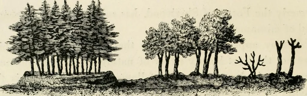An illustration from Observations on the theory and practice of landscape gardening : including some remarks on Grecian and Gothic architecture, collected from various manuscripts, in the possession of the different noblemen and gentlemen, for whose use they were originally written : the whole tending to establish fixed principles in the respective arts, 1805, leaf 93