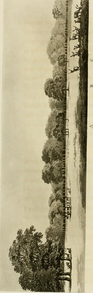 An illustration from Observations on the theory and practice of landscape gardening : including some remarks on Grecian and Gothic architecture, collected from various manuscripts, in the possession of the different noblemen and gentlemen, for whose use they were originally written : the whole tending to establish fixed principles in the respective arts, 1805, leaf 95
