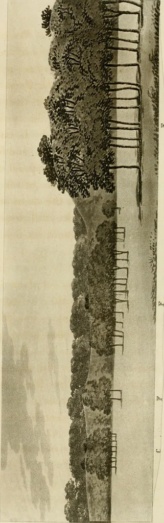 An illustration from Observations on the theory and practice of landscape gardening : including some remarks on Grecian and Gothic architecture, collected from various manuscripts, in the possession of the different noblemen and gentlemen, for whose use they were originally written : the whole tending to establish fixed principles in the respective arts, 1805, leaf 95
