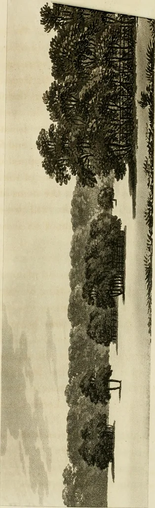 An illustration from Observations on the theory and practice of landscape gardening : including some remarks on Grecian and Gothic architecture, collected from various manuscripts, in the possession of the different noblemen and gentlemen, for whose use they were originally written : the whole tending to establish fixed principles in the respective arts, 1805, leaf 97