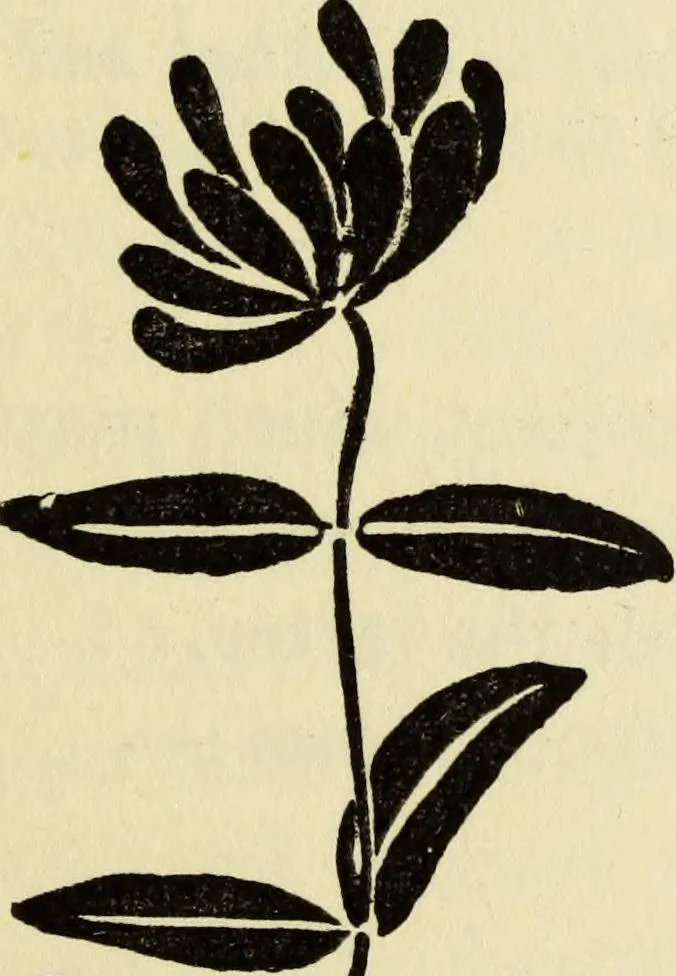 An illustration from Observations and suggestions on brushwork and colour study, 1906, leaf 100