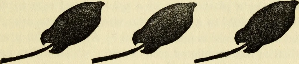 An illustration from Observations and suggestions on brushwork and colour study, 1906, leaf 22