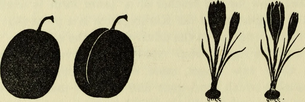 An illustration from Observations and suggestions on brushwork and colour study, 1906, leaf 37