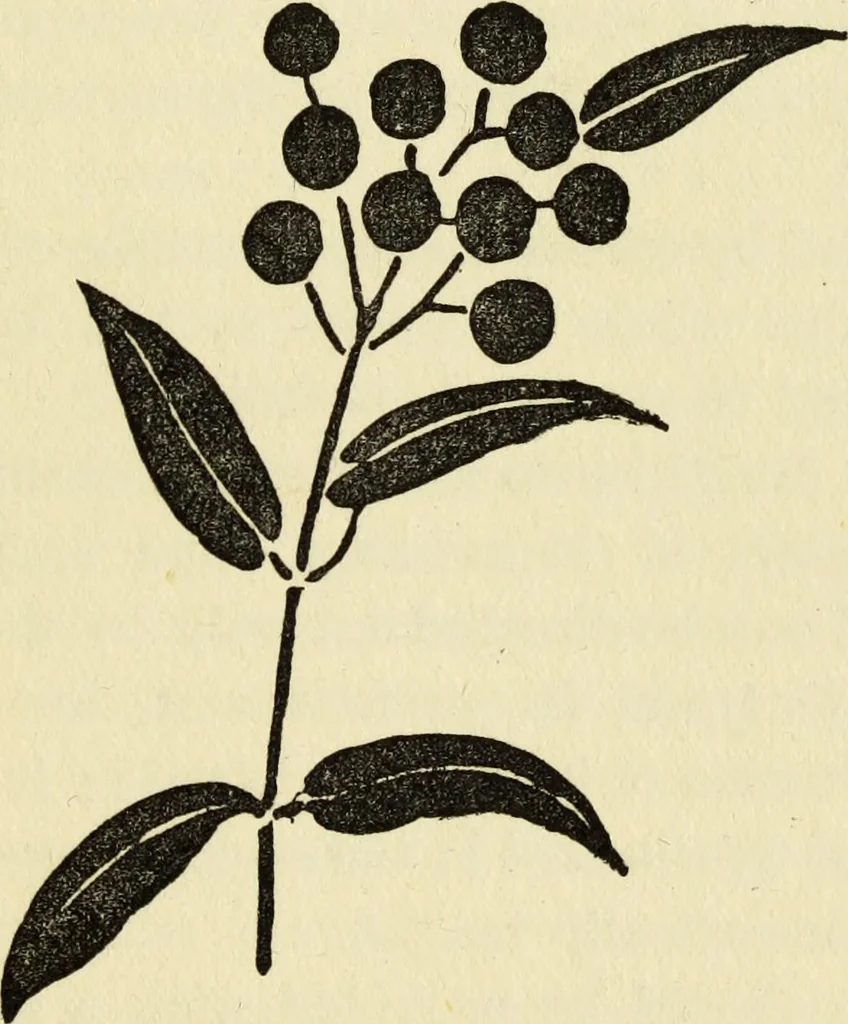An illustration from Observations and suggestions on brushwork and colour study, 1906, leaf 38