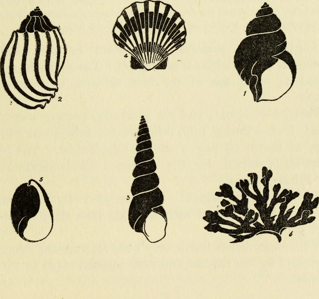 An illustration from Observations and suggestions on brushwork and colour study, 1906, leaf 62