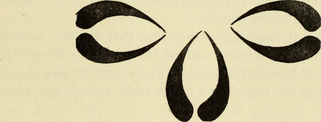 An illustration from Observations and suggestions on brushwork and colour study, 1906, leaf 66