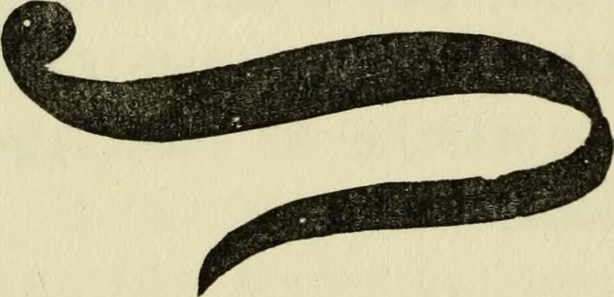 An illustration from Observations and suggestions on brushwork and colour study, 1906, leaf 69
