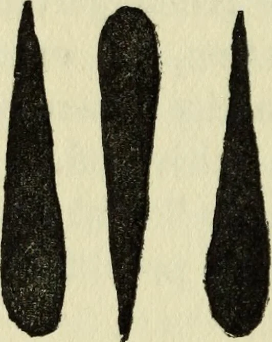 An illustration from Observations and suggestions on brushwork and colour study, 1906, leaf 73