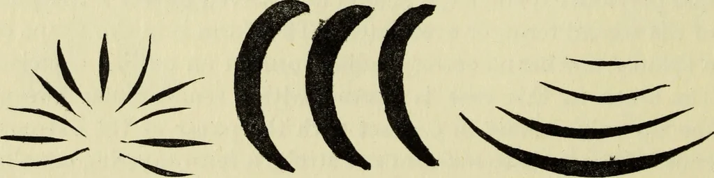 An illustration from Observations and suggestions on brushwork and colour study, 1906, leaf 75