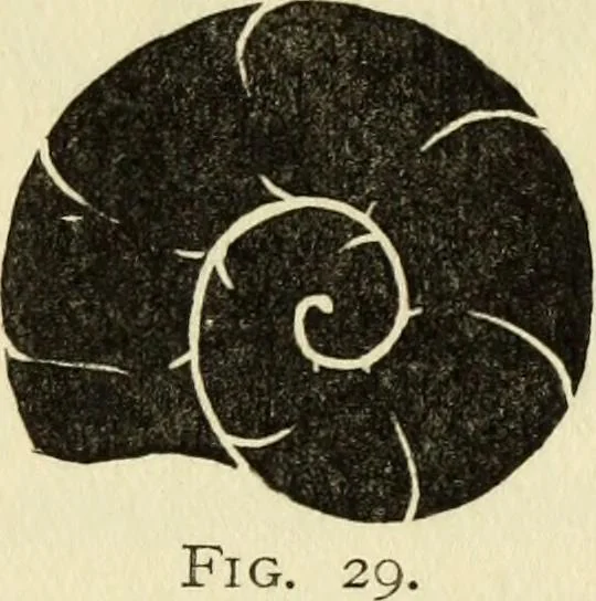 An illustration from Observations and suggestions on brushwork and colour study, 1906, leaf 78