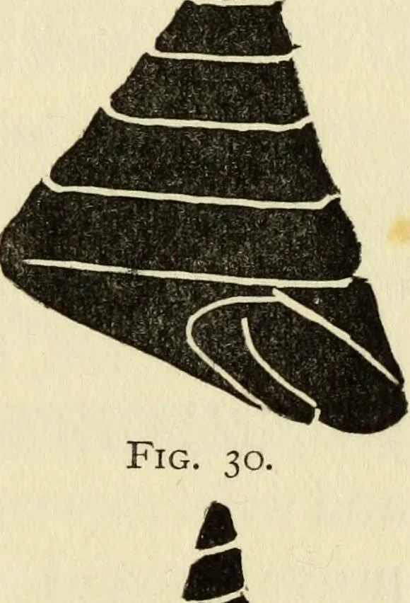 An illustration from Observations and suggestions on brushwork and colour study, 1906, leaf 78